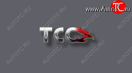 2 499 р. Накладки на пороги внешние, ТСС Тюнинг Volkswagen Polo Mk6 лифтбек (2020-2022) (лист шлифованный)  с доставкой в г. Воронеж