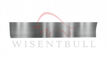 Ремкомплект левой двери Wisentbull Mercedes-Benz R-Class W251/V251 Дорестайлинг (2006-2011)