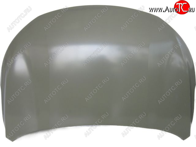 24 549 р. TXL 20- КАПОТ (Китай) BODYPARTS extxl20-330  с доставкой в г. Воронеж