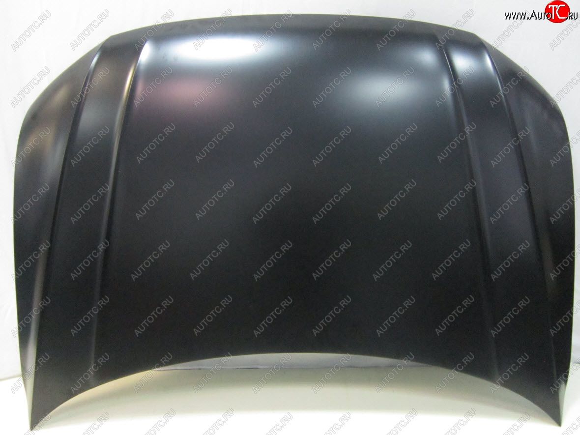 16 549 р. TIGUAN КАПОТ (Китай) BODYPARTS vwtgn16-330  с доставкой в г. Воронеж