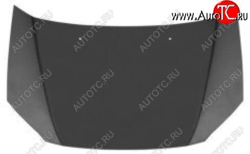14 399 р. Капот (Тайвань) BodyParts  Hyundai Getz  TB (2002-2005) хэтчбэк 5 дв. дорестайлинг (Неокрашенный)  с доставкой в г. Воронеж