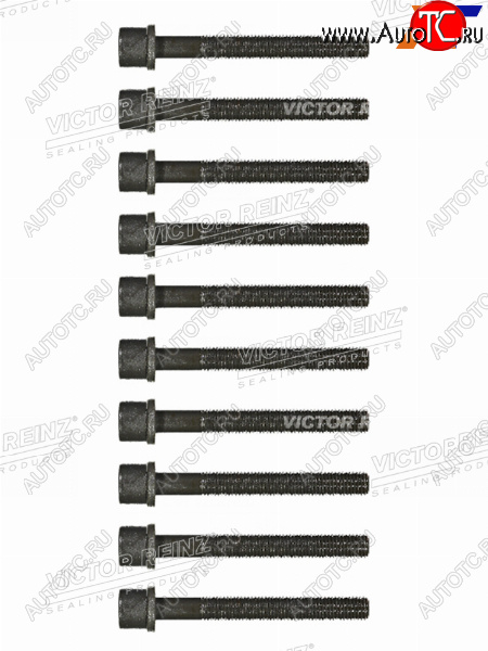 1 299 р. Комплект болтов  ГБЦ VAG 80100A6PASSAT AAMAAEAADABK VICTOR REINZ 14-32046-01  с доставкой в г. Воронеж