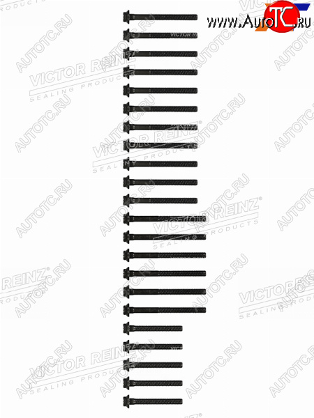 2 899 р. Комплект болтов  ГБЦ MBSSANGYONG  E(W210)G(W461W463)SPRINTER KORANDO OM662 VICTOR REINZ 14-32031-02  с доставкой в г. Воронеж