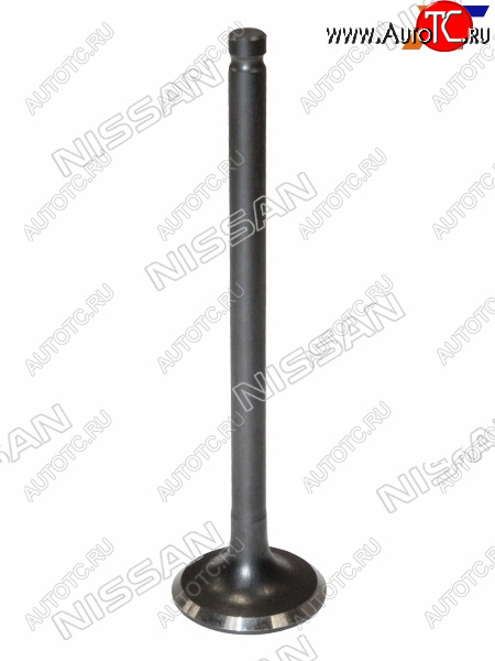 1 779 р. Клапан выпускной NISSAN ALMERA 06-12  QG16 NISSAN 13202-95F0B  с доставкой в г. Воронеж