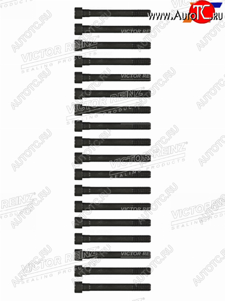 3 199 р. Комплект болтов ГБЦ MITSUBISHI PAJEROL200 4D56 VICTOR REINZ 14-55015-01  с доставкой в г. Воронеж