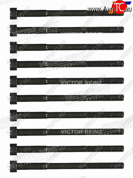 2 499 р. Комплект болтов ГБЦ TOYOTA 1-4ZZFE (10 штук) VICTOR REINZ 14-55035-01  с доставкой в г. Воронеж