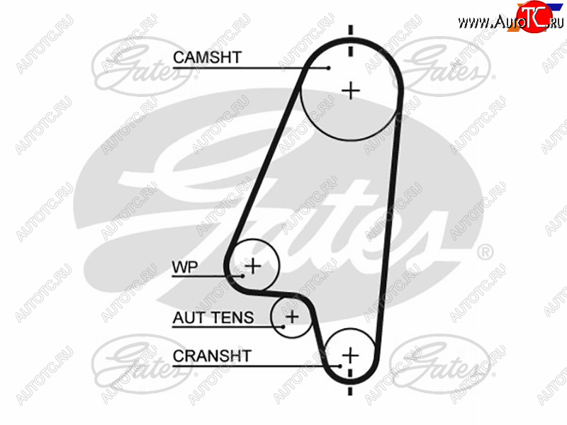 1 039 р. Ремень ГРМ DAEWOO NEXIA 1.5(SOHC) 95-LANOS 1.41.6 97-OPEL ASTRA 1.41.6 91-05CORSA 1.4 94-02 GATES 5310XS  с доставкой в г. Воронеж