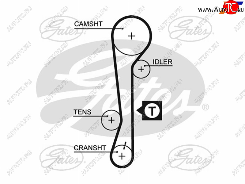 1 449 р. Ремень ГРМ HYUNDAI ACCENT 1.61.4 16V 06-KIA RIO1.41.6 16V 05-11CERATO 04-09 GATES 5479XS  с доставкой в г. Воронеж