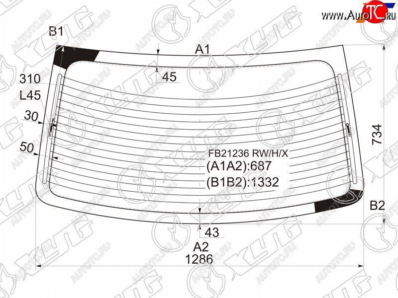 7 999 р. Стекло заднее (Цвет зеленый Обогрев) Hyundai Elantra 00-09  Avante 00-06 XYG FB21236 RW/H/X  с доставкой в г. Воронеж