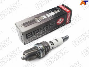539 р. Свеча зажигания AUDI A1A3A4A5A6Q3Q5VW GOLFJETTAPASSATTIGUAN BRISK P22-1922  с доставкой в г. Воронеж. Увеличить фотографию 1