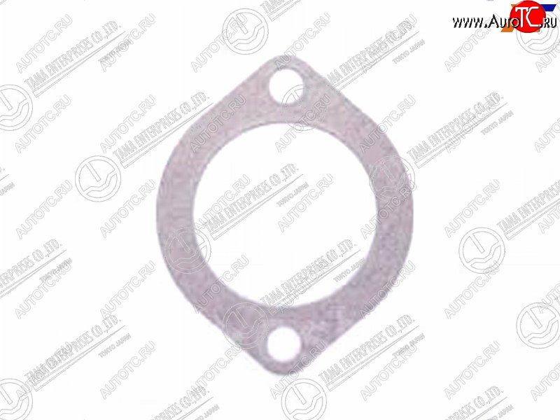 96 р. Прокладка корпуса термостата MAZDA B5B6Z5ZLFE TAMA P401  с доставкой в г. Воронеж