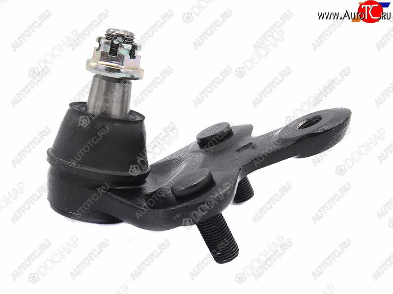 1 599 р. Шаровая опора передняя LEXUS RX270  350  450H 08-  HIGHLANDER  VENZA #GV1# 07- RH DOOHAP SBJT-24  с доставкой в г. Воронеж