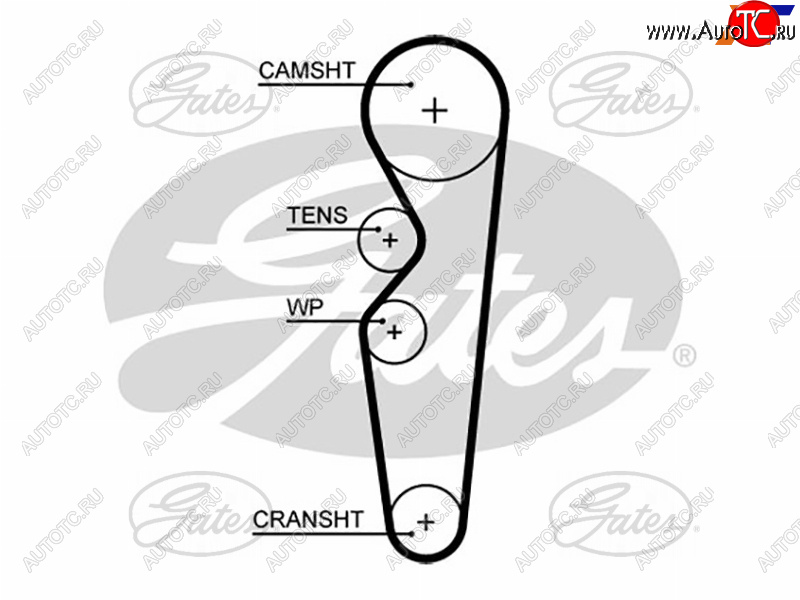 1 849 р. Ремень ГРМ CHERY BONUS AMULETFORD ESCORTORIONFIESTA 1,6 CVH 92-00 GATES 5665XS  с доставкой в г. Воронеж