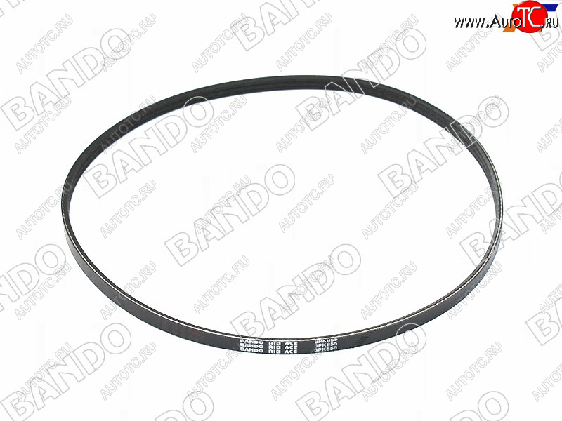 529 р. Ремень поликлиновой NISSAN B15G10Y11C34V10, QG1#RB20E (PS) BANDO 3PK855  с доставкой в г. Воронеж