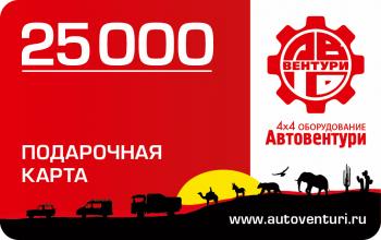 28 699 р. Карта подарочная 25000  gc25000  с доставкой в г. Воронеж. Увеличить фотографию 1