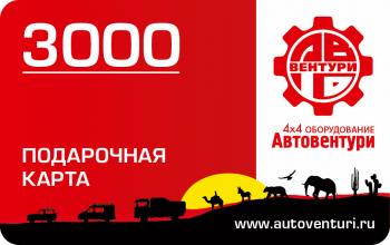 3 399 р. Карта подарочная 3000  gc3000  с доставкой в г. Воронеж. Увеличить фотографию 1