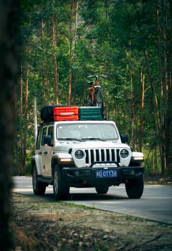 93 999 р. Палатка на крышу автомобиля Wild Land Lite Cruiser 120  201102  с доставкой в г. Воронеж. Увеличить фотографию 20