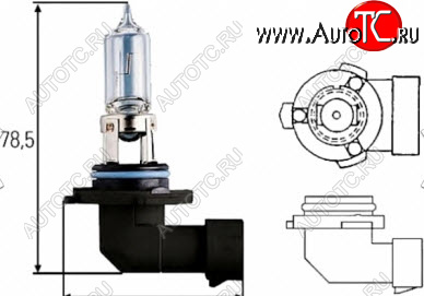 88 р. H10 (12V-42W  PY20D) ЛАМПА УПАКОВКА (1 шт) BLICK BODYPARTS lph1000-980-o  с доставкой в г. Воронеж