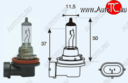 131 р. H8 (12V-35W  PGJ19-1) ЛАМПА УПАКОВКА (1 шт) BLICK BODYPARTS lp0h800-980-o  с доставкой в г. Воронеж