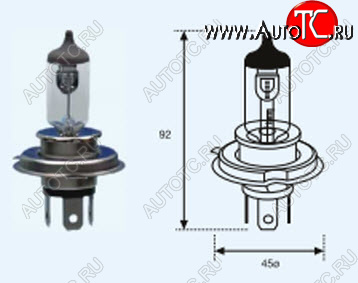 168 р. H4 (12V-60-55W  P43T) ЛАМПА УПАКОВКА (1 шт) SELUM BODYPARTS lp0h400-980-o  с доставкой в г. Воронеж