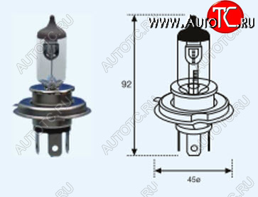 212 р. H4 (12V-60-55W  P43T Long Life) ЛАМПА УПАКОВКА (1 шт) SELUM BODYPARTS lp0h400-981-o  с доставкой в г. Воронеж