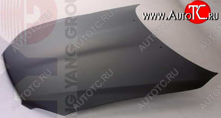 8 749 р. IS200300 КАПОТ BODYPARTS lxis299-330  с доставкой в г. Воронеж