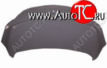 9 999 р. INSIGNIA КРЫШКА БАГАЖНИКА (Китай) BODYPARTS opins08-600  с доставкой в г. Воронеж