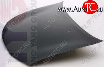 8 999 р. ROVER 200 КАПОТ (Тайвань) TYG rv20095-330  с доставкой в г. Воронеж