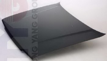 12 249 р. N13 КАПОТ (Тайвань) TYG nnn1386-330  с доставкой в г. Воронеж. Увеличить фотографию 1