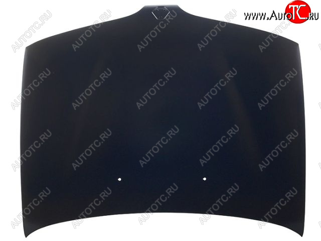 7 549 р. MEGANE КАПОТ (Италия) TYG rnmeg95-330  с доставкой в г. Воронеж