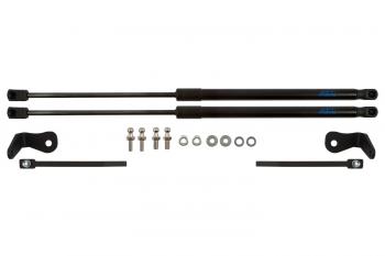 2 999 р. Упоры капота для FORD Focus, 2004-2008, к-т 2 шт  Форд Фокус Arbori arbori.hd.012103  с доставкой в г. Воронеж. Увеличить фотографию 1