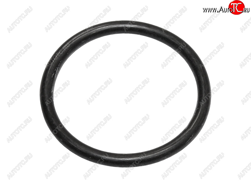 349 р. Кольцо уплотнительное лобовины малое NISSAN QR25DE NISSAN 15066-6N202  с доставкой в г. Воронеж
