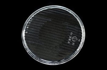298 р. E34 88-95 {E32} СТЕКЛО ФАРЫ Л=П ДАЛЬН СВЕТА BodyParts bme3488-021-z  с доставкой в г. Воронеж. Увеличить фотографию 1