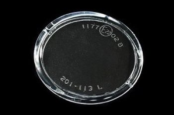 439 р. P12 02- {ALMERA 02-MICRA 02-QASHQAI 09-TEANA 08-LAGUNA 01-CLIO 01-} СТЕКЛО ФАРЫ ПРОТИВОТУМ ЛЕВ BodyParts nnp1202-080-l  с доставкой в г. Воронеж. Увеличить фотографию 1