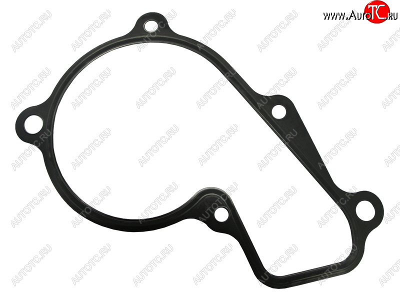 419 р. Прокладка насоса водяного охлаждения HYUNDAI CRETAELANTRATUCSONKIA CERATOSPORTAGE 17- G4NA 2,0 HYUNDAI 25124-2E000  с доставкой в г. Воронеж