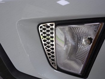 1 699 р.  ТСС Тюнинг HYUNDAICreta 2016-2021 - Накладки на ПТФ (лист)  hyuncre1601  с доставкой в г. Воронеж. Увеличить фотографию 1