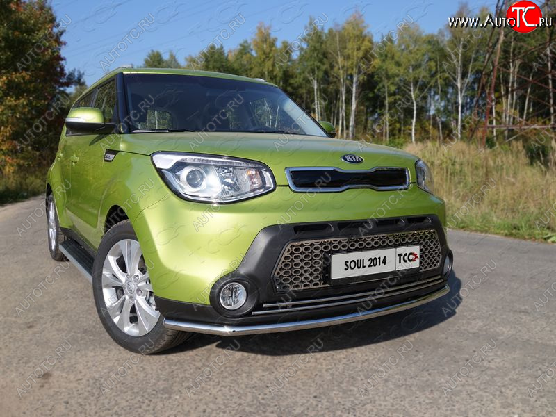 1 000 000 р.  ТСС Тюнинг KIASoul 2014-2016 - Решетка радиатора (овал)  kiasoul1403  с доставкой в г. Воронеж
