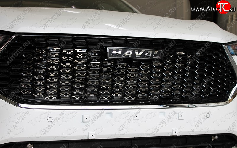 3 999 р.  ТСС Тюнинг HAVALF7 1.5 4WD 2019- - Решетка радиатора верхняя (лист)  havf71916  с доставкой в г. Воронеж