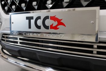 Рамка гос. номера ТСС Тюнинг Chery Tiggo 7 PRO (2019-2025) ()