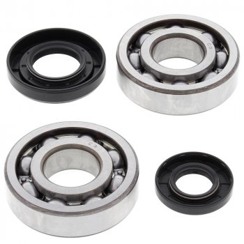 9 779 р. Компл. подшипников и сальников квала ALL BALLS Yamaha YZ250 01-16, YZ250X 16  (24-1029)  24-1029  с доставкой в г. Воронеж. Увеличить фотографию 1