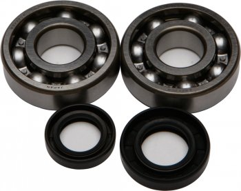 8 219 р. Компл. подшипников и сальников квала ALL BALLS Honda  CR80RB 97-02 CR85RRB 03-07  (24-1002)  24-1002  с доставкой в г. Воронеж. Увеличить фотографию 1