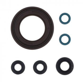 4 289 р. Комплект сальников двигателя ATHENA Yamaha TDM900 02-09  p400485400158  с доставкой в г. Воронеж. Увеличить фотографию 1