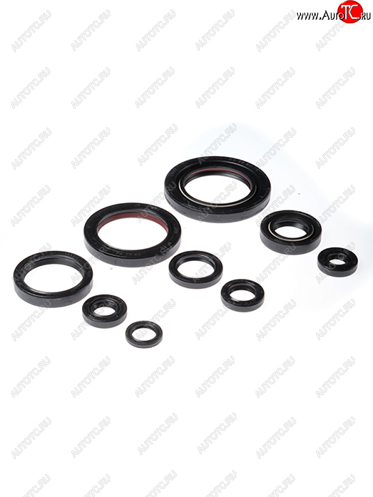 3 349 р. Комплект сальников двигателя BWX Honda TRX450ER 06-14, TRX450R 06-09 (822312)  osk30312  с доставкой в г. Воронеж