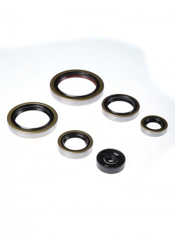2 699 р. Комплект сальников двигателя BWX KTM SX250 03-16,Husqvarna TETC250 14-16,TE300 14-16 (822269)  osk40269  с доставкой в г. Воронеж. Увеличить фотографию 1