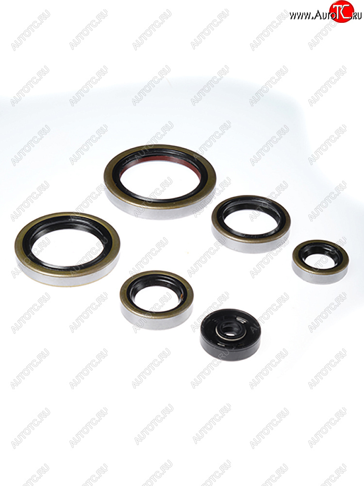 2 699 р. Комплект сальников двигателя BWX KTM SX250 03-16,Husqvarna TETC250 14-16,TE300 14-16 (822269)  osk40269  с доставкой в г. Воронеж