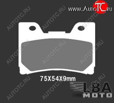 2 699 р. Тормозные колодки Nissin 2P-251NS (251)  28 556  с доставкой в г. Воронеж