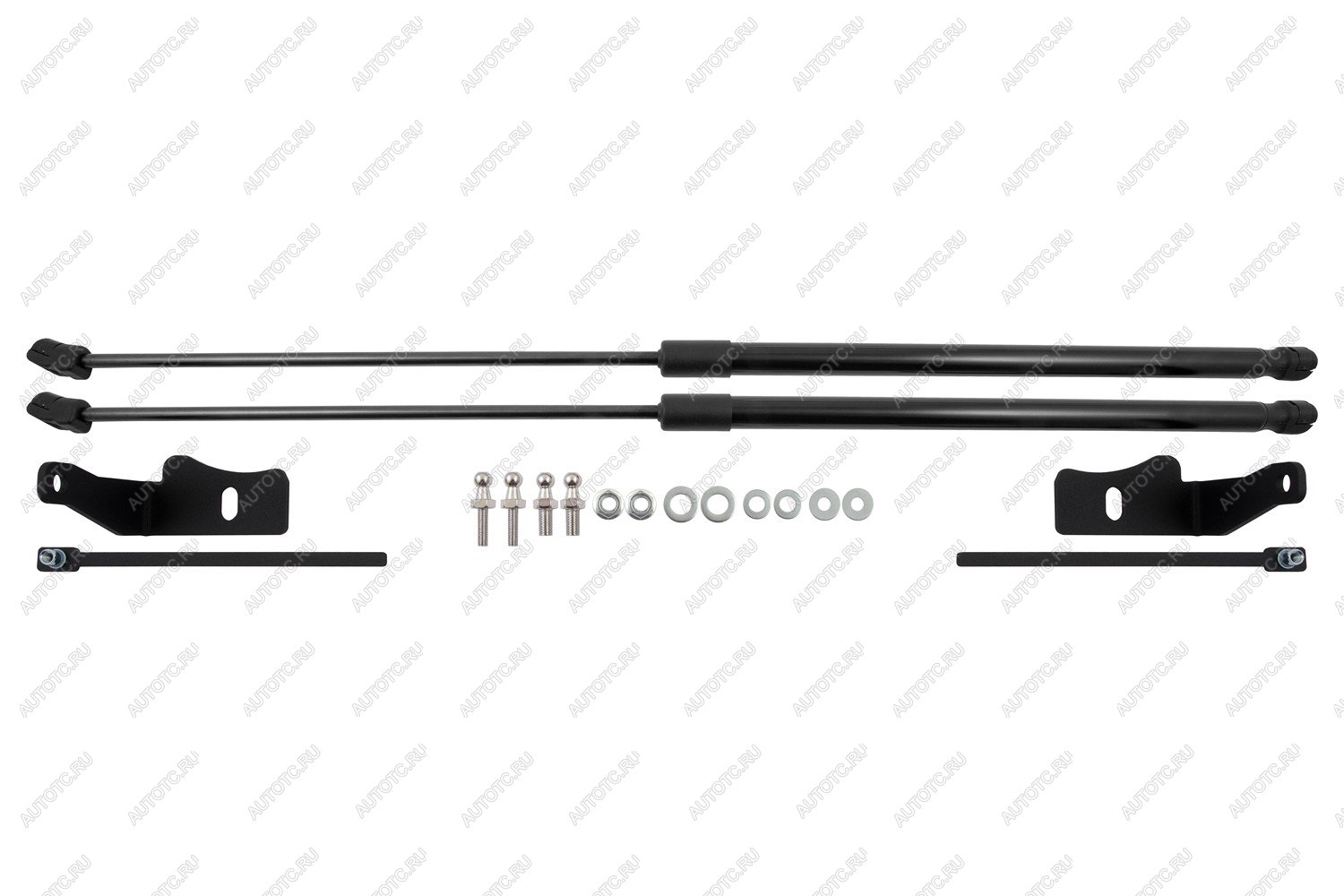 4 899 р. Амортизаторы капота для DongFeng Glorу 600, 2024-, к-т 2 шт  ДонгФенг Глори 600 EASYLIFT easylift 076.102  с доставкой в г. Воронеж
