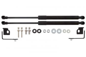 4 549 р. Амортизаторы капота для EVOLUTE i-Space, 2024-, к-т 2 шт  Эволют EASYLIFT easylift 062.102  с доставкой в г. Воронеж. Увеличить фотографию 1
