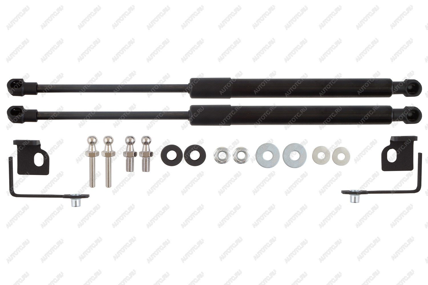 4 549 р. Амортизаторы капота для EVOLUTE i-Space, 2024-, к-т 2 шт  Эволют EASYLIFT easylift 062.102  с доставкой в г. Воронеж