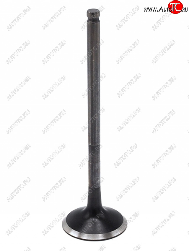 1 499 р. Клапан выпускной TOYOTA 1AZFE2AZFE1AZFSE2AZFSE2AZFXE TOYOTA 13715-28010  с доставкой в г. Воронеж
